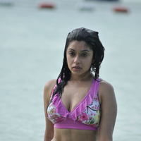 Payal Ghosh hot n spicy bikini gallery | Picture 71866